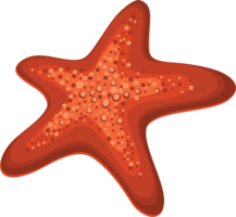 animals & Starfish free transparent png image.