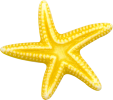 animals & Starfish free transparent png image.