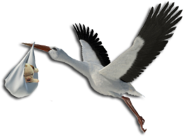 animals & Stork free transparent png image.