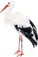 animals & Stork free transparent png image.