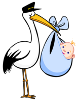 animals & stork free transparent png image.