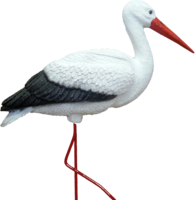 animals & stork free transparent png image.