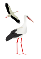 animals & stork free transparent png image.