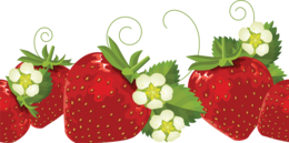 fruits & strawberry free transparent png image.