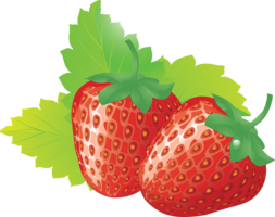 fruits & strawberry free transparent png image.