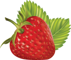 fruits & Strawberry free transparent png image.