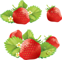 fruits & strawberry free transparent png image.