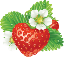 fruits & strawberry free transparent png image.