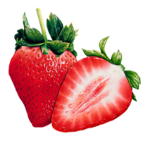 fruits & Strawberry free transparent png image.