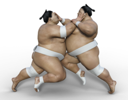 sport & sumo free transparent png image.