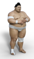 sport & sumo free transparent png image.