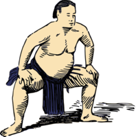 sport & sumo free transparent png image.