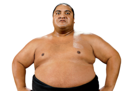 sport & sumo free transparent png image.