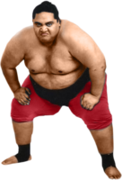 sport & Sumo free transparent png image.