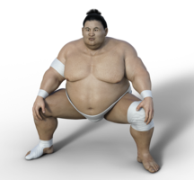 sport & Sumo free transparent png image.