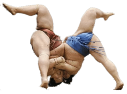 sport & sumo free transparent png image.