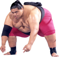 sport & Sumo free transparent png image.