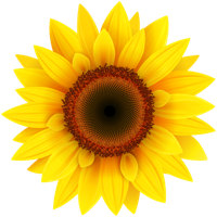 flowers & Sunflower free transparent png image.