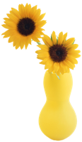 flowers & sunflower free transparent png image.