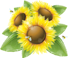 flowers & Sunflower free transparent png image.