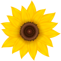 flowers & Sunflower free transparent png image.