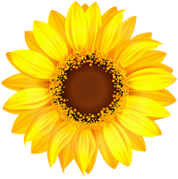 flowers & Sunflower free transparent png image.