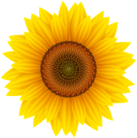 flowers & sunflower free transparent png image.