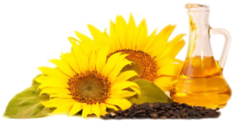 food & sunflower oil free transparent png image.