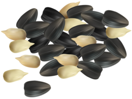 fruits & sunflower seeds free transparent png image.