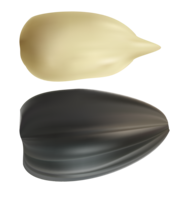 fruits & sunflower seeds free transparent png image.