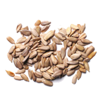 fruits & sunflower seeds free transparent png image.