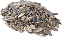 fruits & sunflower seeds free transparent png image.