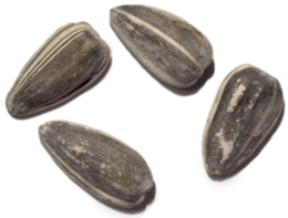 fruits & sunflower seeds free transparent png image.