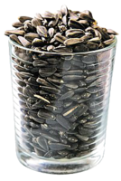 fruits & sunflower seeds free transparent png image.