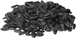 fruits & Sunflower seeds free transparent png image.