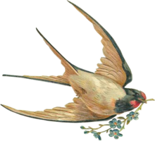 animals & Swallow free transparent png image.
