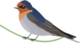 animals & Swallow free transparent png image.