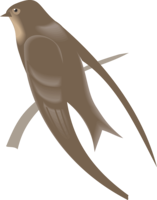 animals & Swallow free transparent png image.