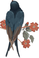 animals & swallow free transparent png image.