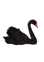 animals & swan free transparent png image.