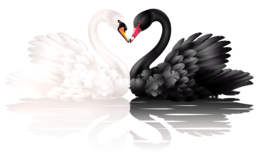 animals & Swan free transparent png image.