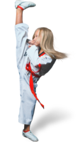 sport & Taekwondo free transparent png image.