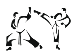 sport & Taekwondo free transparent png image.