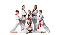 sport & Taekwondo free transparent png image.