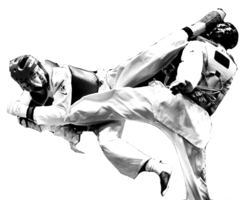 sport & taekwondo free transparent png image.