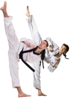 sport & taekwondo free transparent png image.