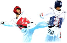 sport & taekwondo free transparent png image.