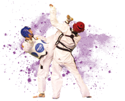 sport & Taekwondo free transparent png image.