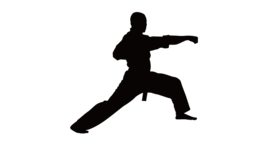 sport & Taekwondo free transparent png image.