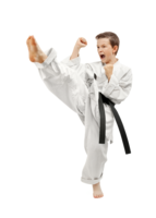 sport & taekwondo free transparent png image.